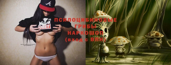 трава Новокубанск