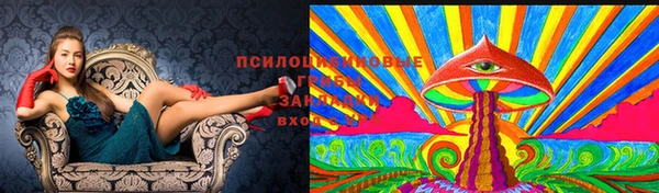гашик Армянск
